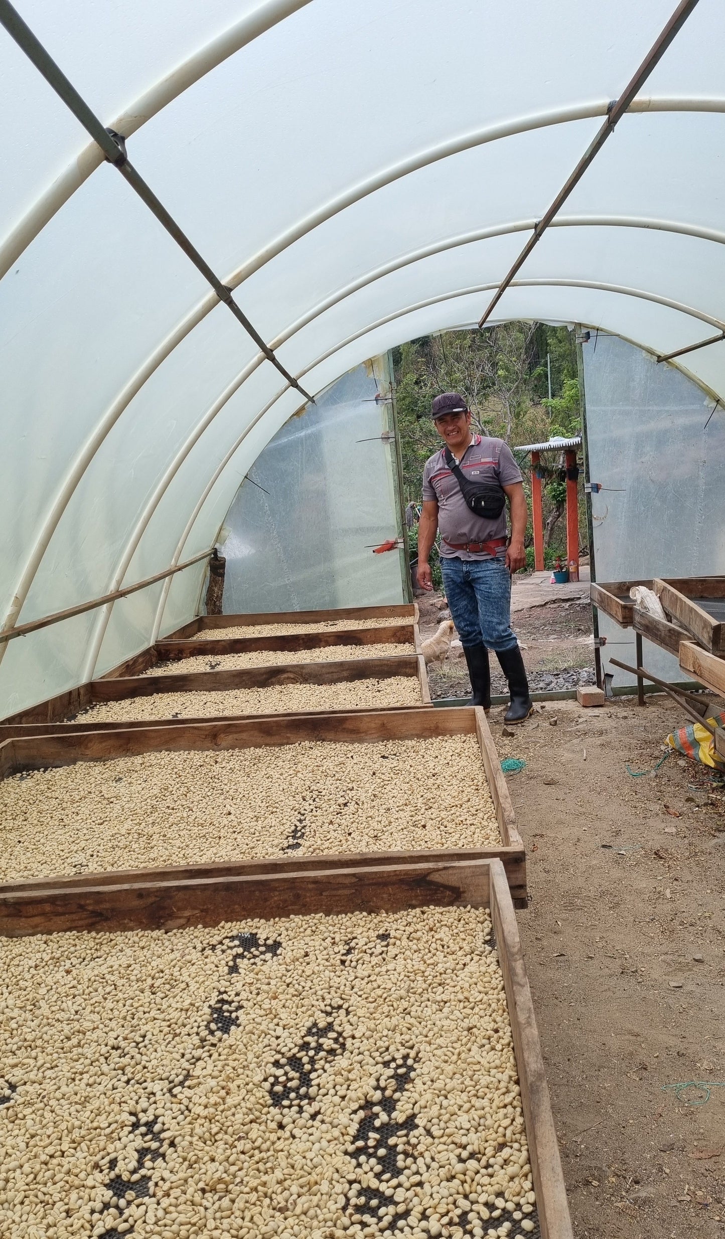 Colombia|Aponte Collective #1|Honey