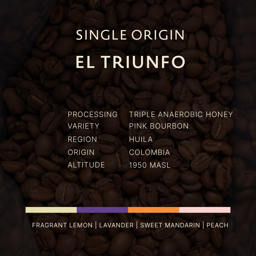 Colombia | EL Triunfo