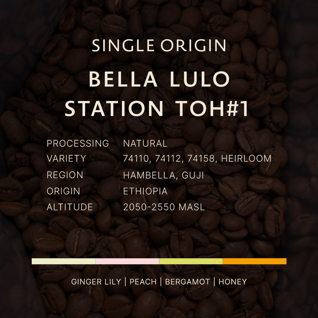 Ethiopia | Bella Lulo Station TOH#1 Natural