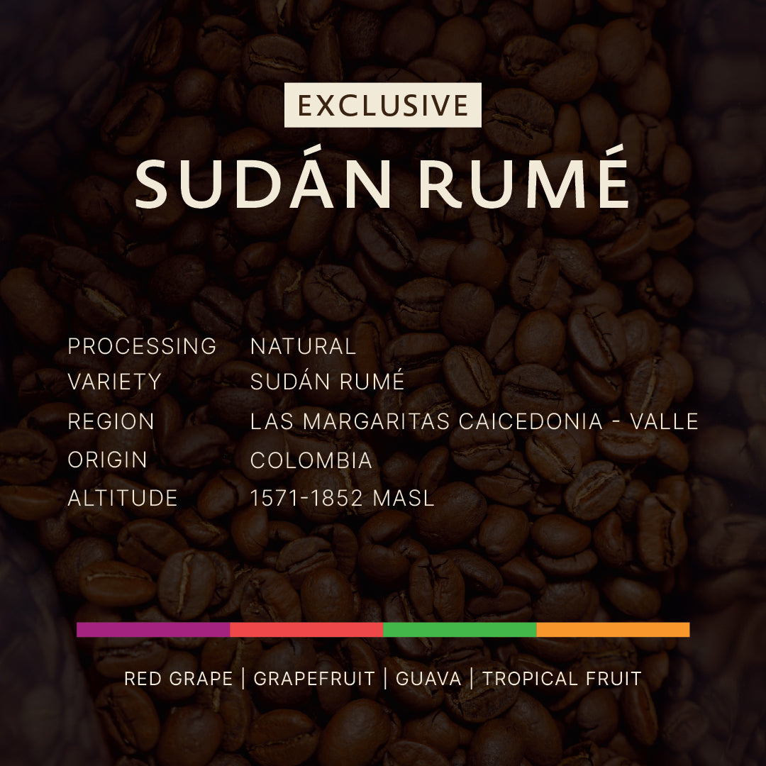 Colombia|Sudan Rume|Natural