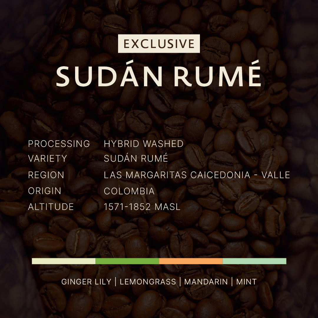 Colombia|Sudan Rume|Hybrid Washed