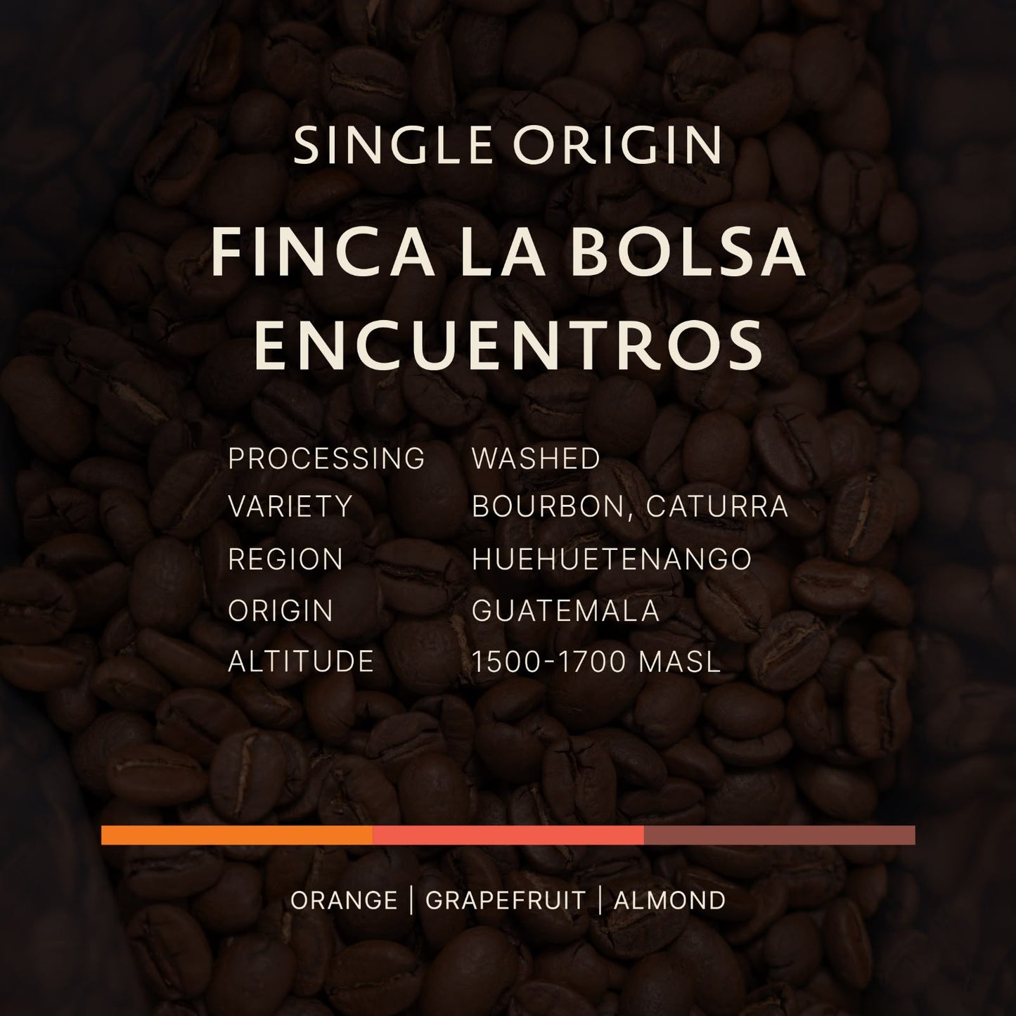 Guatemala | Finca La Bolsa Encuentros