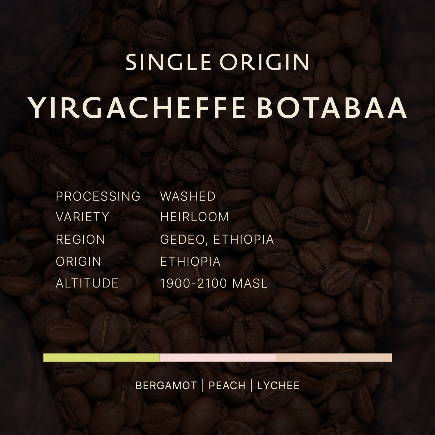 Ethiopia | Yirgacheffe Botabaa | Washed
