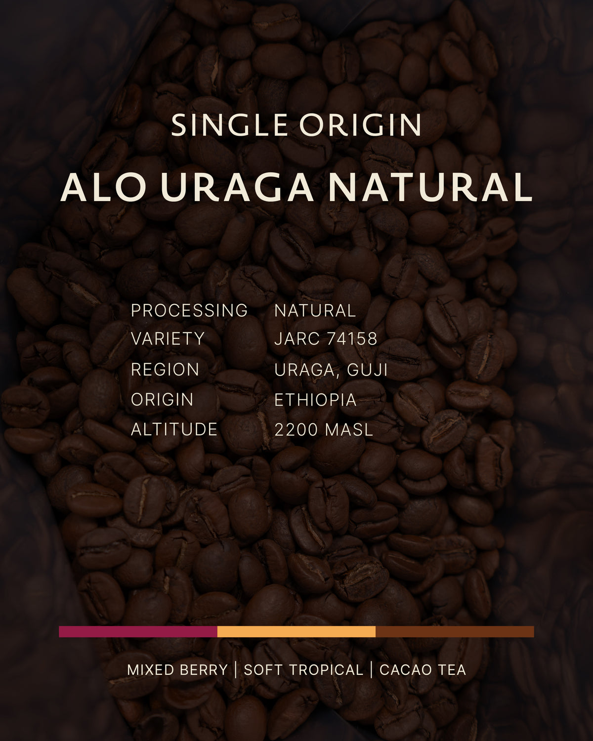 Ethiopia | ALO Uraga Natural