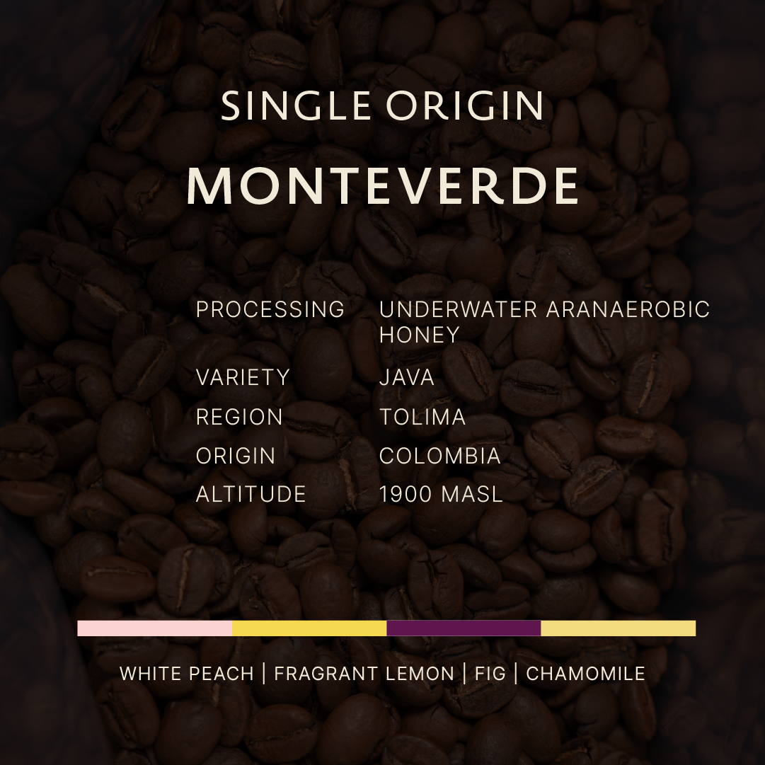 Colombia | Monteverde