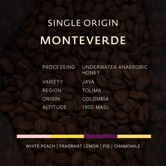 Colombia | Monteverde