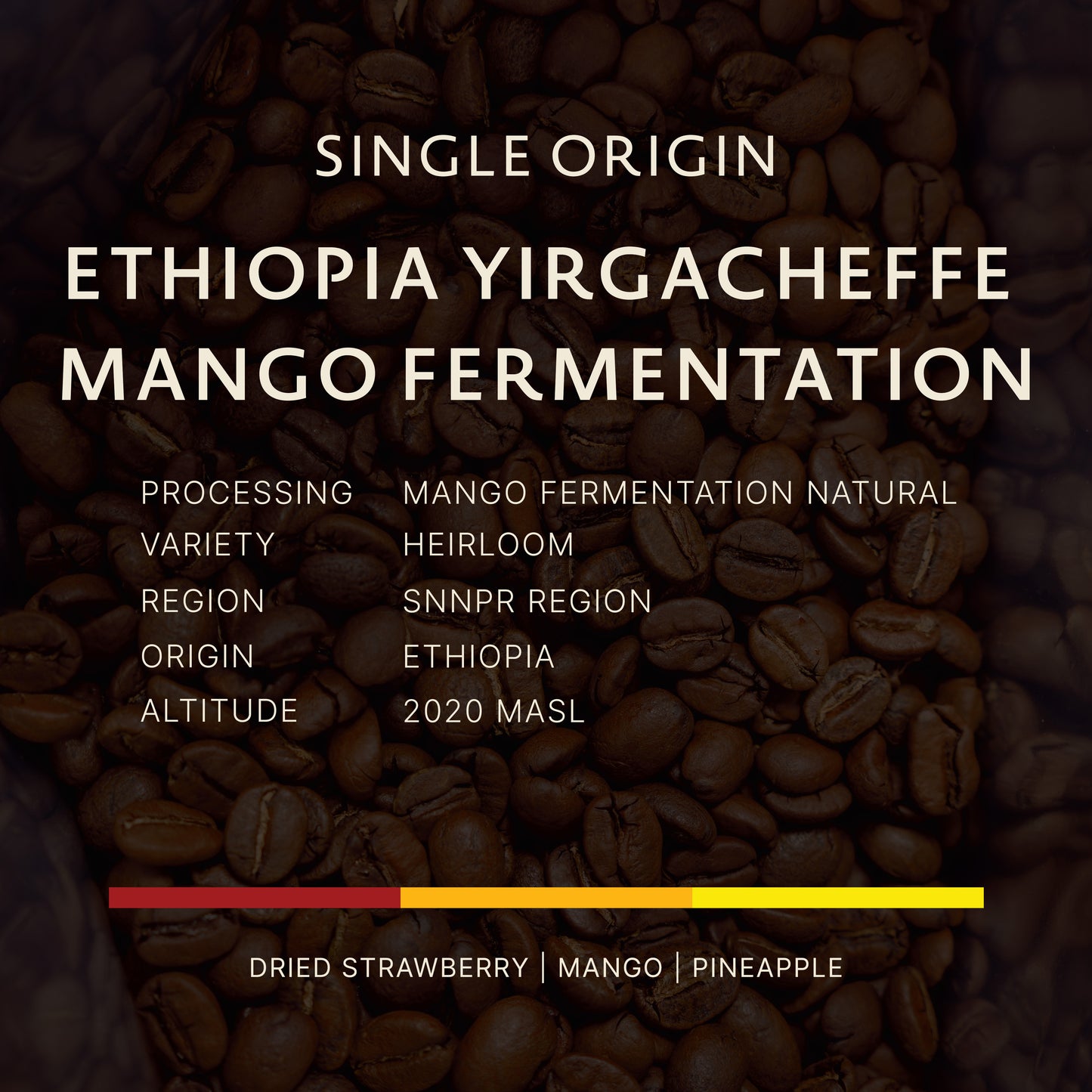 Ethiopia | Yirgacheffe Mango Fermentation Natural G1