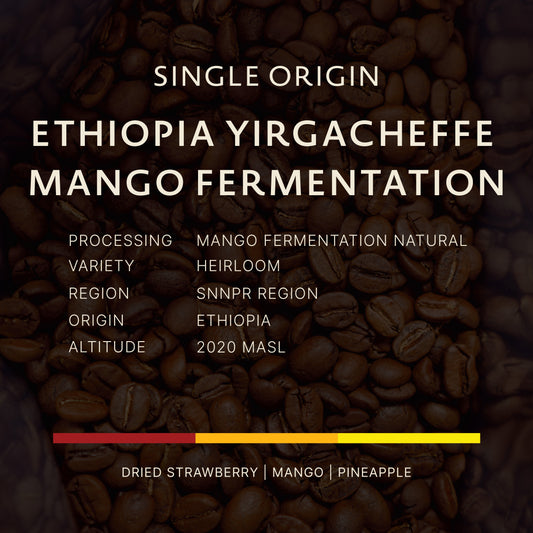 Ethiopia | Yirgacheffe Mango Fermentation Natural G1