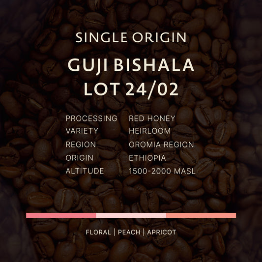 Ethiopia｜Guji Bishala Red Honey G1 Lot 24/02｜ Red Honey