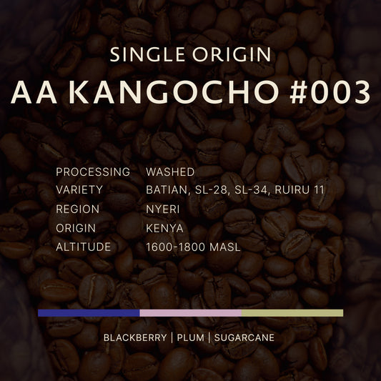 Kenya｜AA Kangocho #003｜Washed