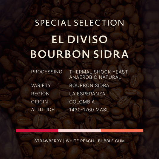 Colombia｜El Diviso Bourbon Sidra