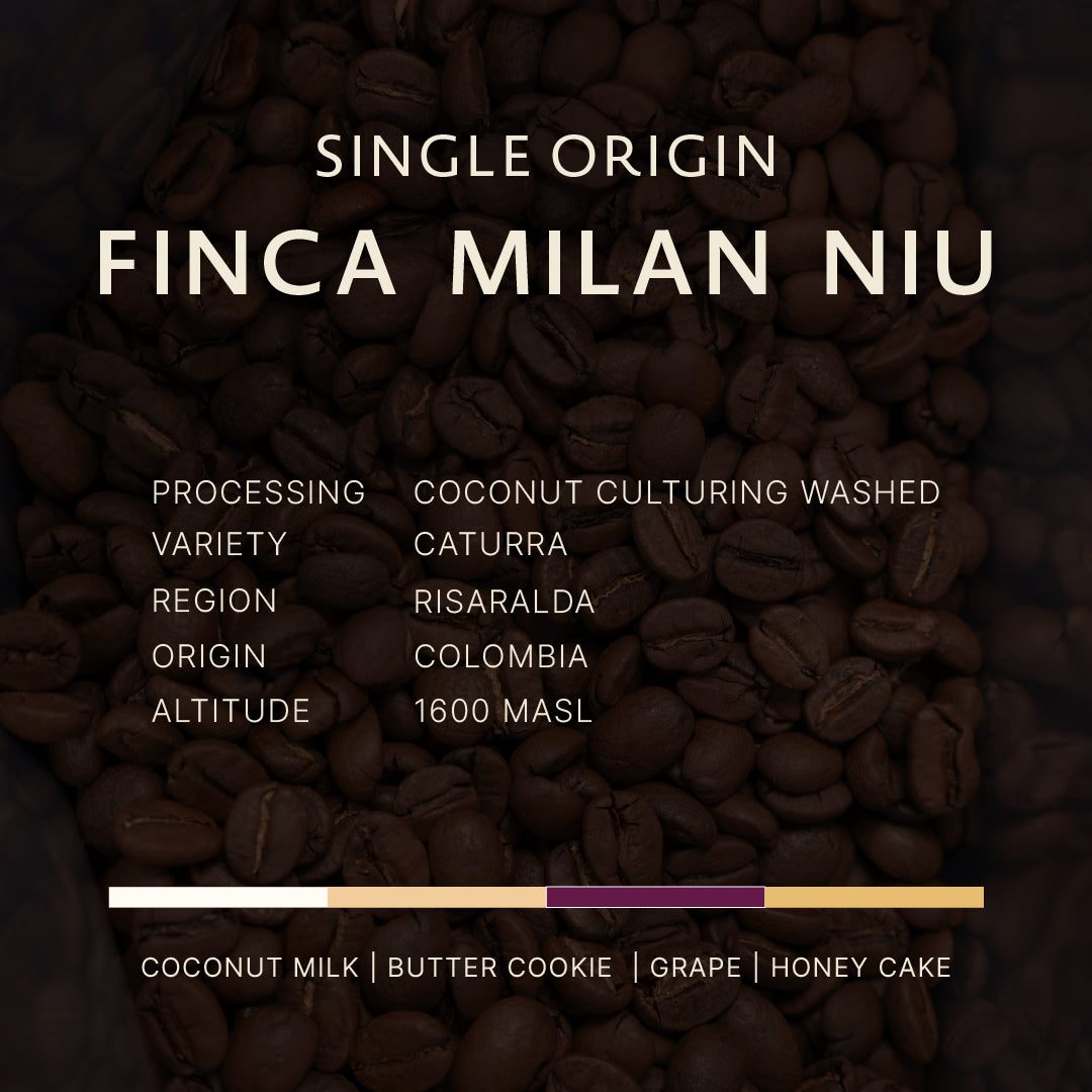 Colombia | Finca Milan Niu