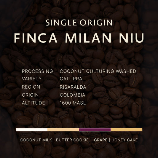Colombia | Finca Milan Niu