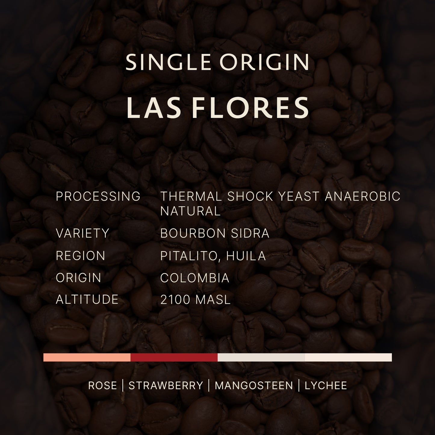 Colombia | Las Flores