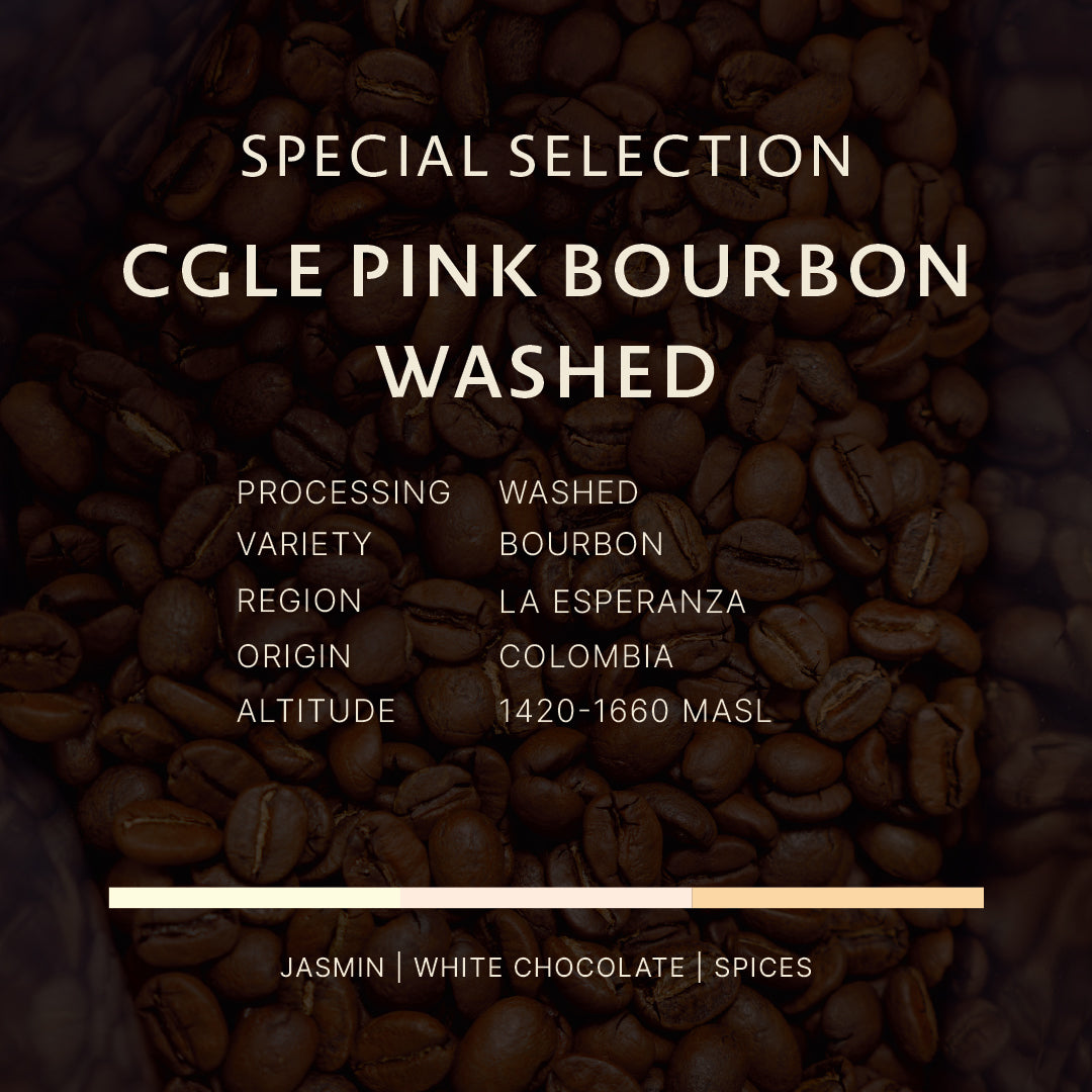 Colombia｜CGLE Pink Bourbon Washed
