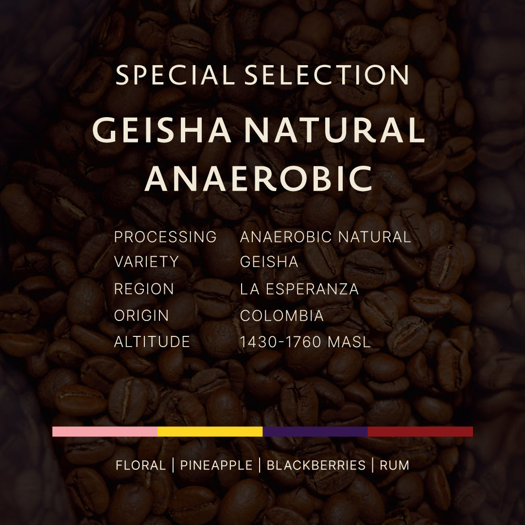 Colombia｜Geisha Natural Anaerobic La Esperanza