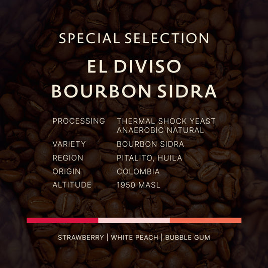 Colombia｜El Diviso Bourbon Sidra
