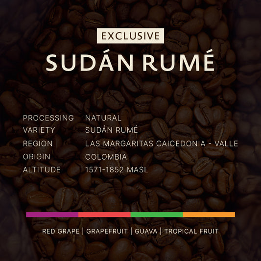 Colombia｜Sudan Rume｜Natural