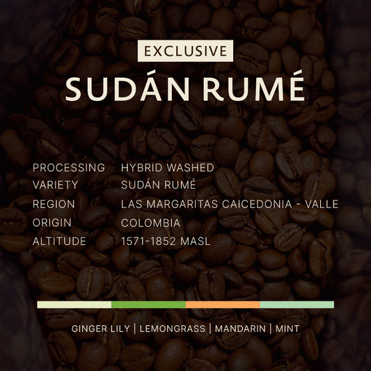 Colombia｜Sudan Rume｜Hybrid Washed