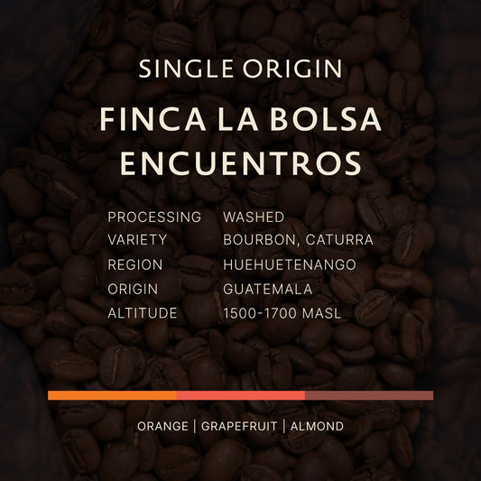 Guatemala | Finca La Bolsa Encuentros