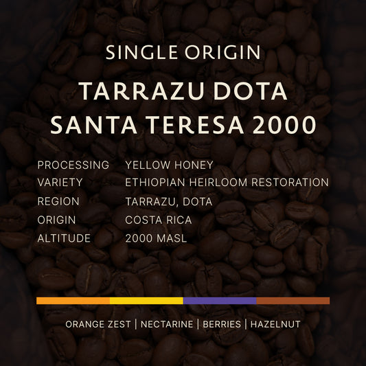 Tarrazu Dota Santa Teresa 2000