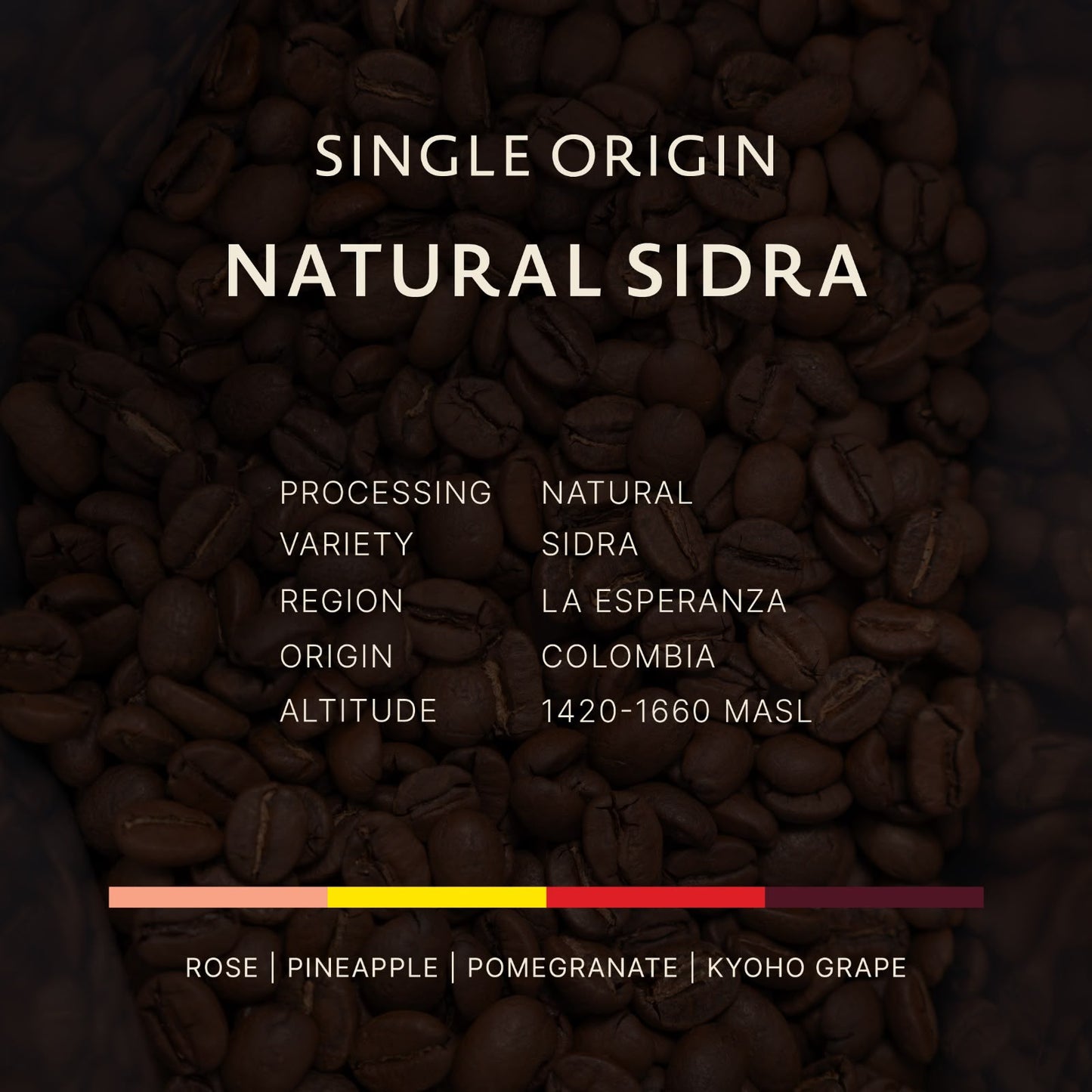 Colombia | Natural Sidra
