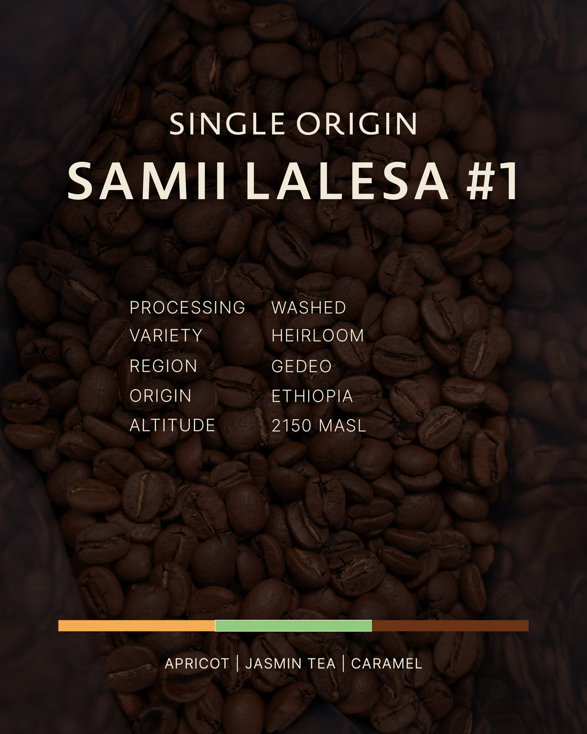 Ethiopia | Samii Lalesa #1